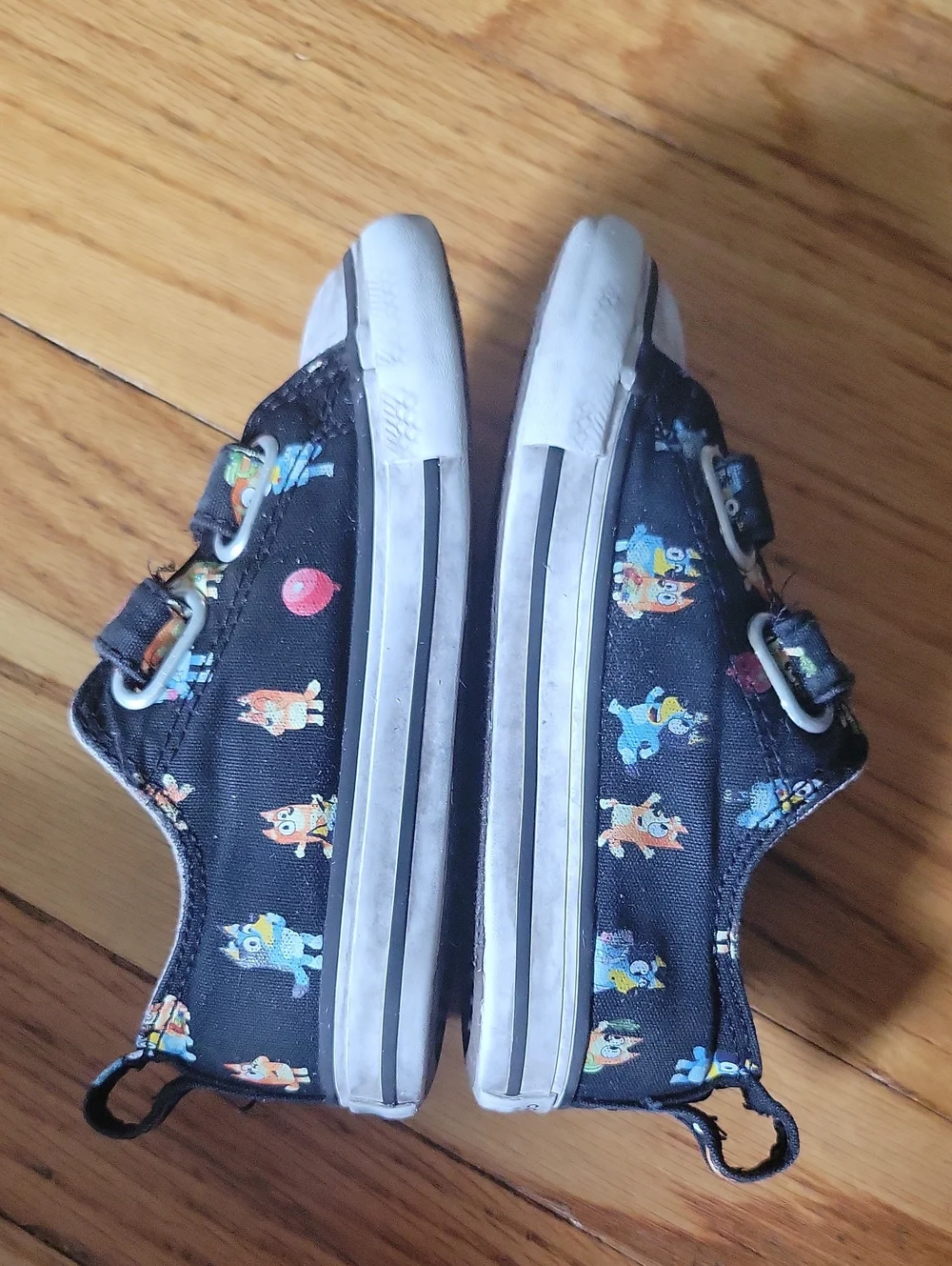 Converse bluey sneakers